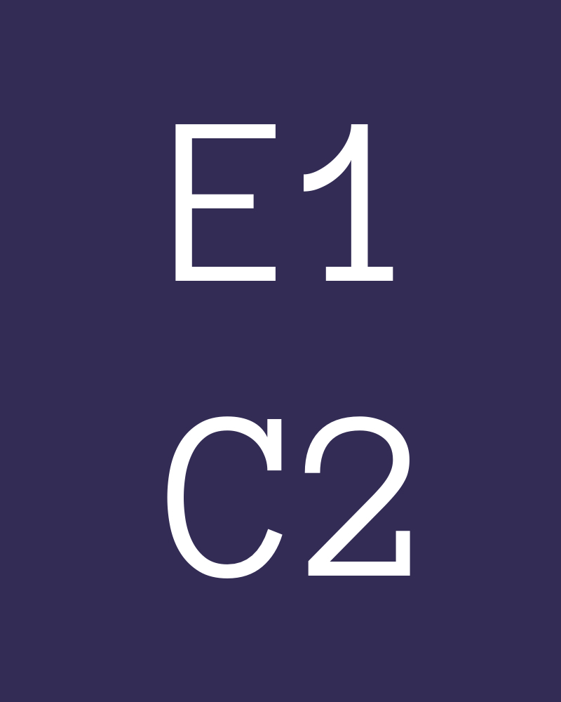 Capitolo 2